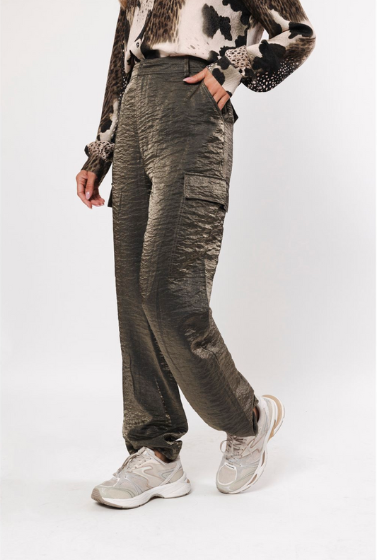 Pant Shine